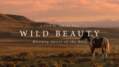 WILD-BEAUTY-Mustang-Spirit-of-the-West-Official-Trailer-2023