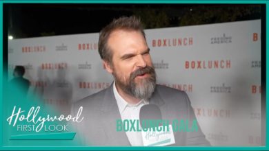 BOXLUNCH-GALA-2023-Honoring-Feeding-America-Interviews-with-David-Harbour-and-More